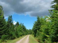 Confederation Trail © Vanessa Danison